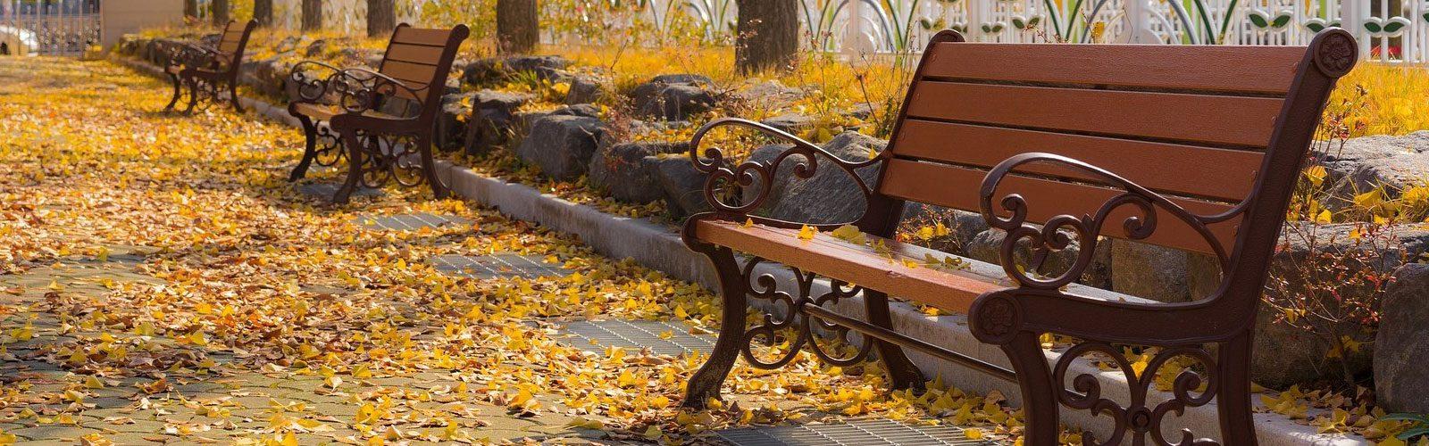 Sarah Alimoradi  Crafting Beautiful Parks for Every Community