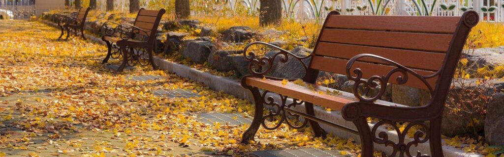 Sarah Alimoradi  Crafting Beautiful Parks for Every Community