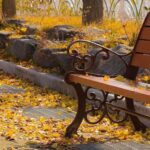 Sarah Alimoradi Crafting Beautiful Parks for Every Community